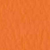 Sedia Silla : Variante arancio