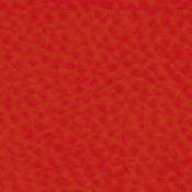 Poltrona Leo  (ecopelle) : Variante rosso