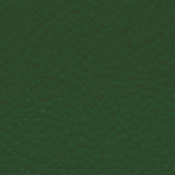 Poltrona Leo  (ecopelle) : Variante verde