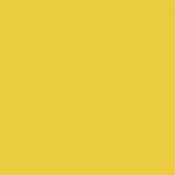 Panca Twit : Variante giallo 